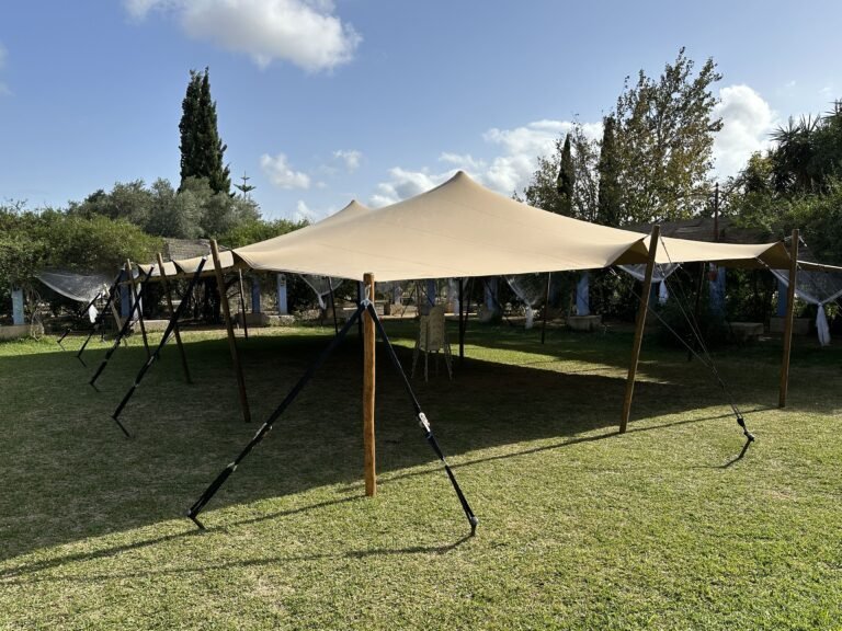 Carpas para eventos: ejemplo de instalación