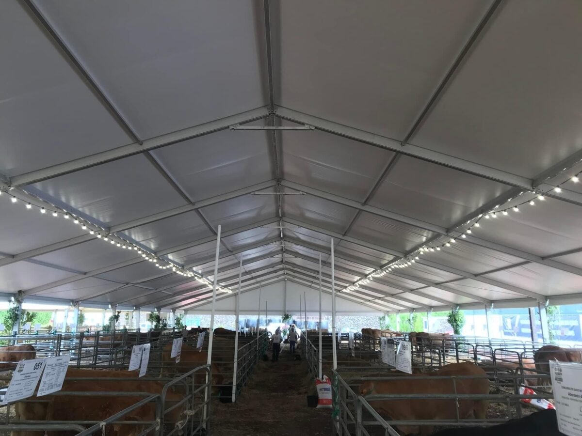 Carpa industrial - Tec Tents SL (2)