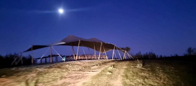 Alquiler de carpas tipo invernadero – Tec Tents